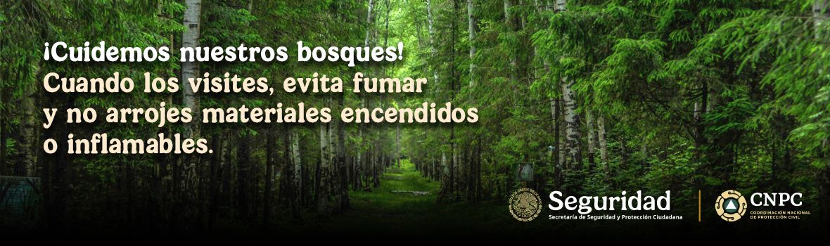 Cuidemos nuestros bosques