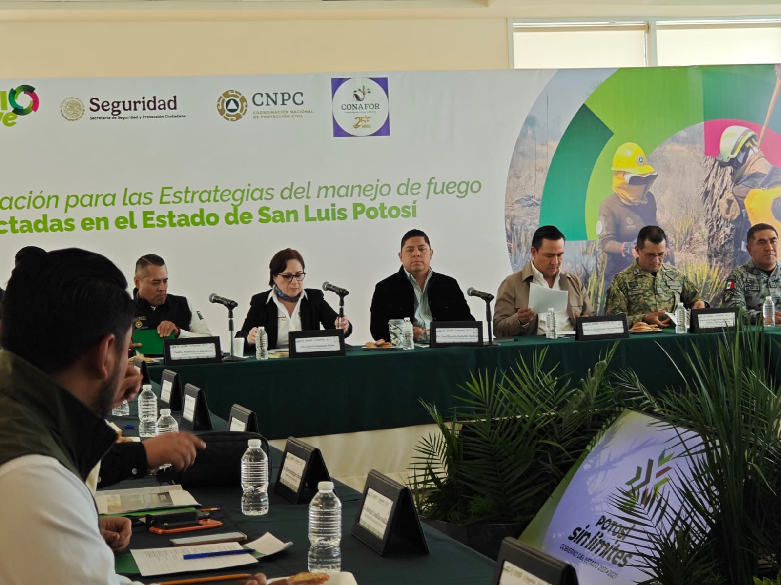 Concentraciones Masivas