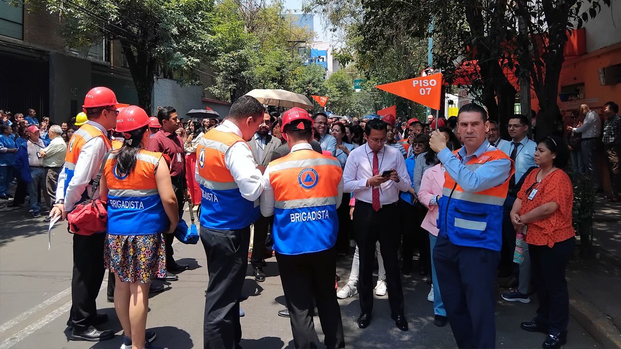 Brigadistas