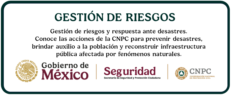 Gestión de Riesgos